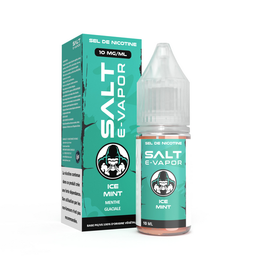 E liquide Ice Mint Salt E-Vapor