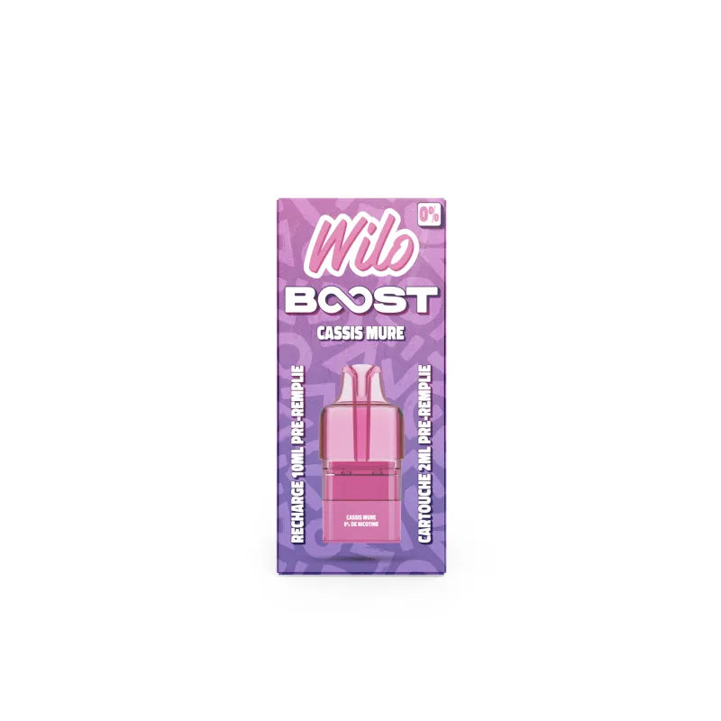 Cartouches Wilo Boost